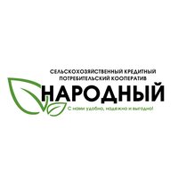 Светлана Д.