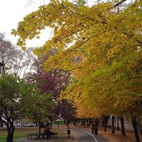 Виктория Позднякова