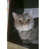 анна демочкина