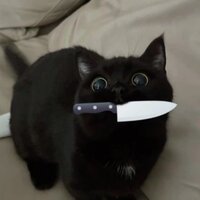 Мария Никитина