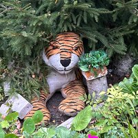 Алиса Кузнецова