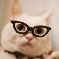 Елена Хегай