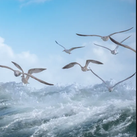 Екатерина Тушканова