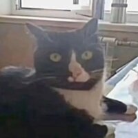 Вика Скворцова