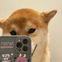 Кира Чернышова