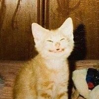 Варвара Антропова