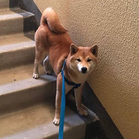 Анжелика Филатова