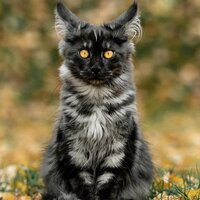 алексей кулагин