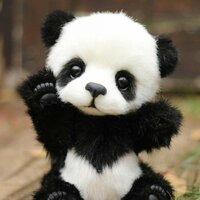 Panda MK II