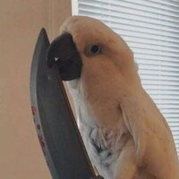 Василий Пупкин