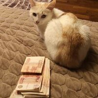 Зинаида Дмитриевна