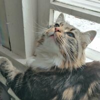 Светка пишет