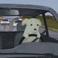 Анастасия Чехонина