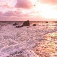 Екатерина Б.