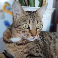 Наталья Храмцова