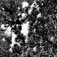 Анастасия Горнастаева