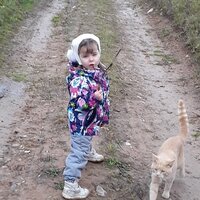 Светлана Соколова
