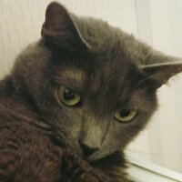 Григорий Иванов