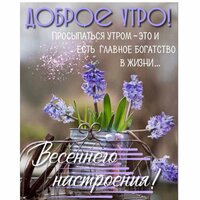 Эльвира Султанова