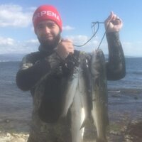 Дамир Бекер