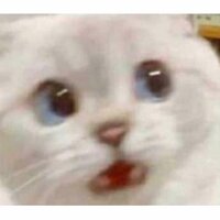 Ксеня Кукушкина