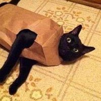 Полина Удалова