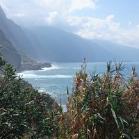 Вероника Станиславовна З.