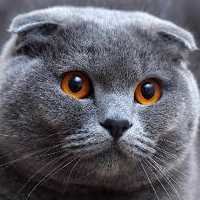 Марина Митюкова