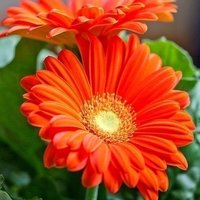 Екатерина Ш.