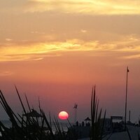 Елена Саввина