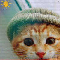 Кирилл Шатов