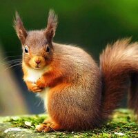 Маша Голодаева