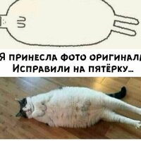 Владимир Николаев