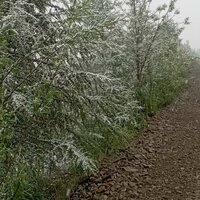 Владимир Лыткин