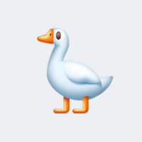 Юлия Сорокина