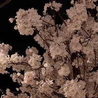 Алина Тамбиева