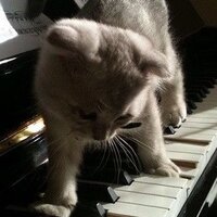 макарова анна