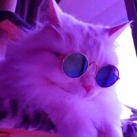 Екатерина Коровина