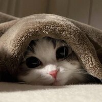 Ярослав Березин