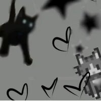 ~★Котики 🧋★~