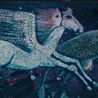 Марта Дмитренок