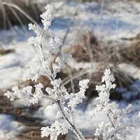 Кладова Евгения