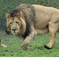 Иржи Броучек