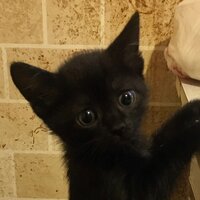 Павел Малышев