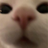 Ярослава Сидоркина