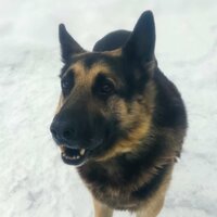 Евгений Ильин