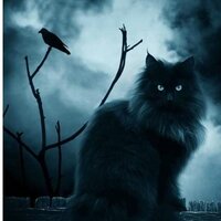 Екатерина В.