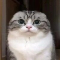 Таня Чухиль