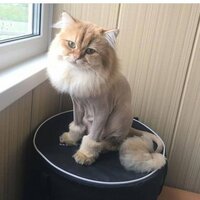 Анастасия Олеговна