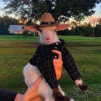 Денис Лагутин